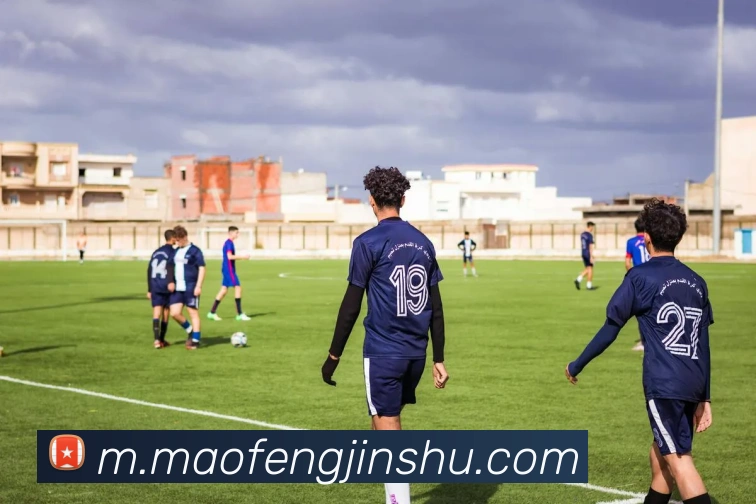 体育直播服务